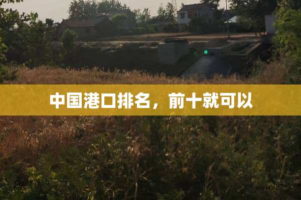 中国港口排名，前十就可以