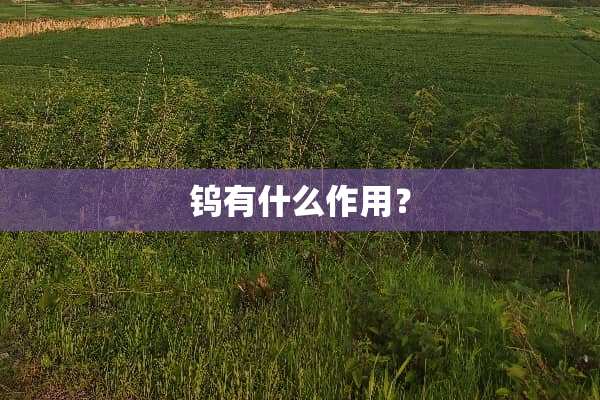 钨有什么作用？