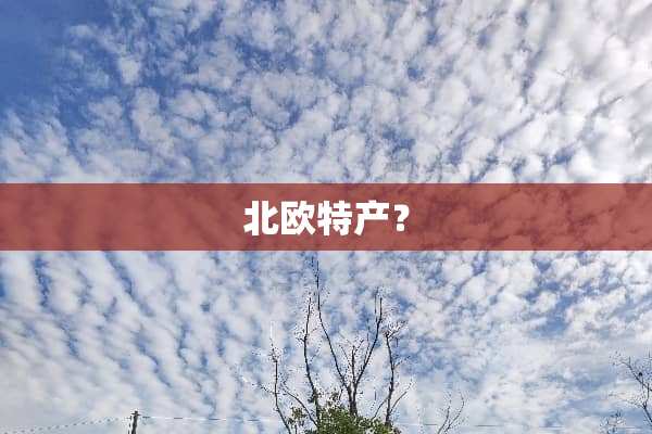 北欧特产？