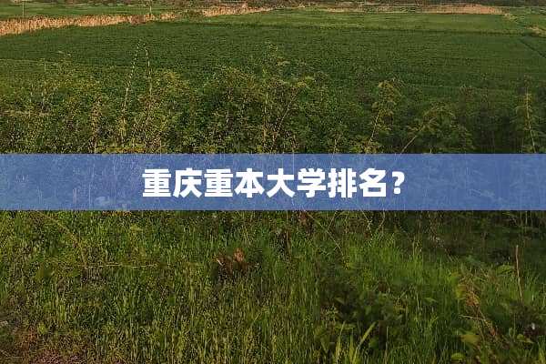 重庆重本大学排名？