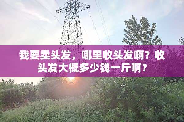 我要卖头发，哪里收头发啊？收头发大概多少钱一斤啊？