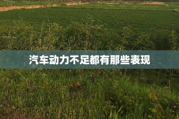 汽车动力不足都有那些表现