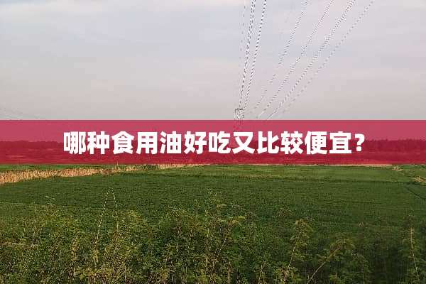 哪种食用油好吃又比较便宜？