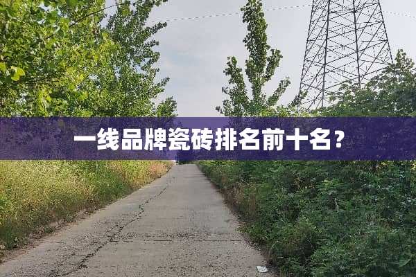 一线品牌瓷砖排名前十名？