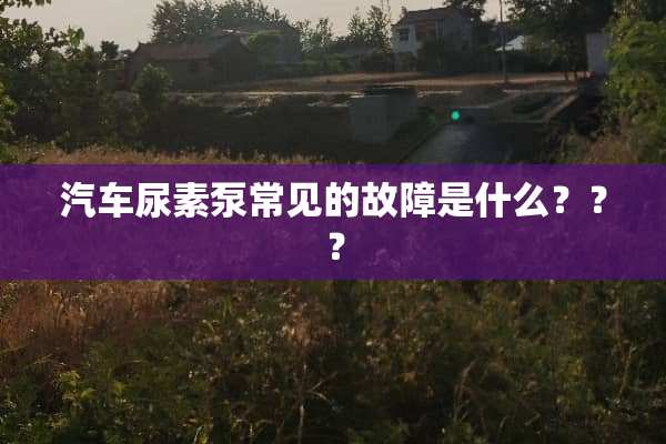 汽车尿素泵常见的故障是什么？？？