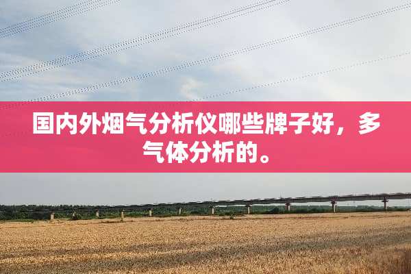 国内外烟气分析仪哪些牌子好，多气体分析的。