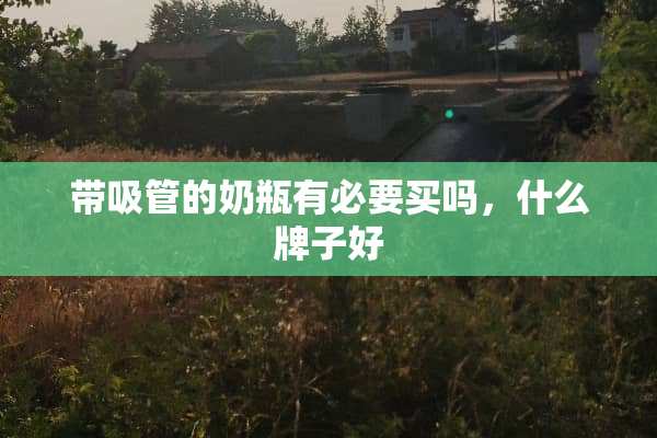 带吸管的奶瓶有必要买吗，什么牌子好