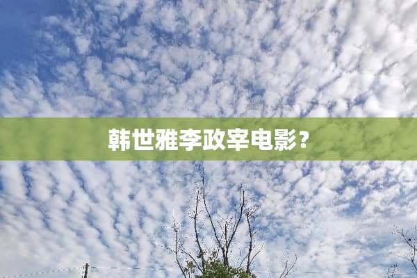 韩世雅李政宰电影？