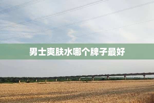 男士爽肤水哪个牌子最好
