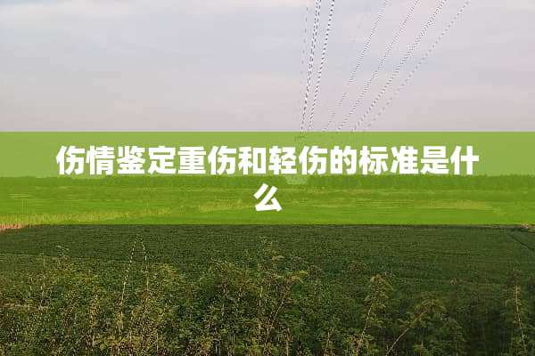 伤情鉴定重伤和轻伤的标准是什么