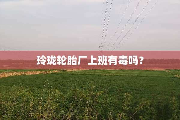 玲珑轮胎厂上班有毒吗？