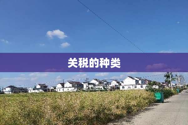 关税的种类