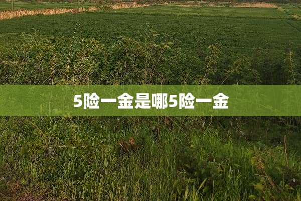 5险一金是哪5险一金