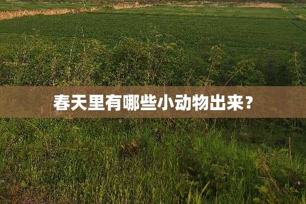 春天里有哪些小动物出来？