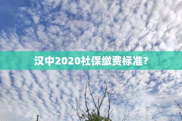汉中2020社保缴费标准？