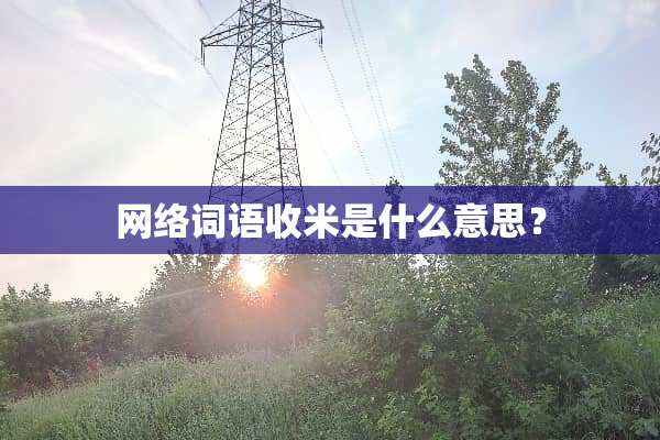 网络词语收米是什么意思？