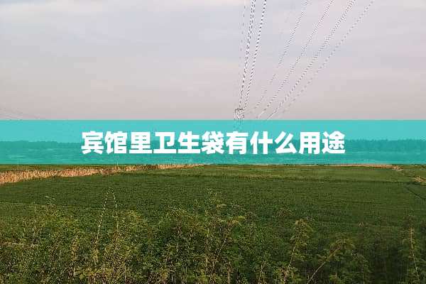 宾馆里卫生袋有什么用途