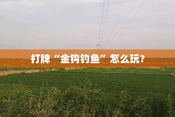 打牌“金钩钓鱼”怎么玩？