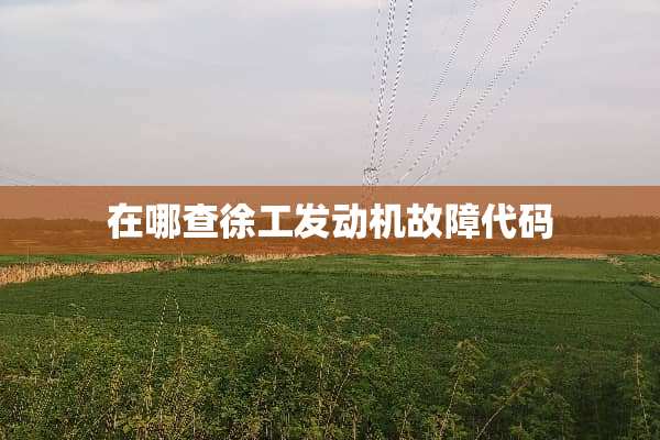 在哪查徐工发动机故障代码