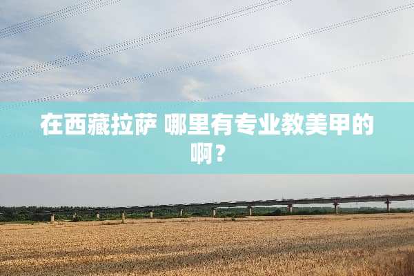在西藏拉萨 哪里有专业教美甲的啊？