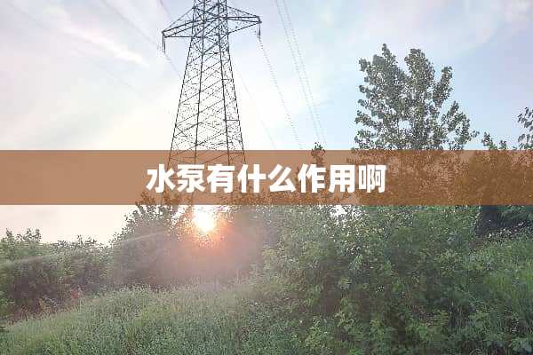 水泵有什么作用啊