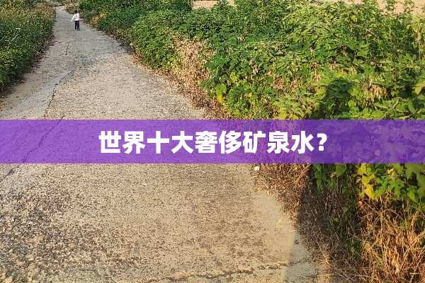 世界十大奢侈矿泉水？