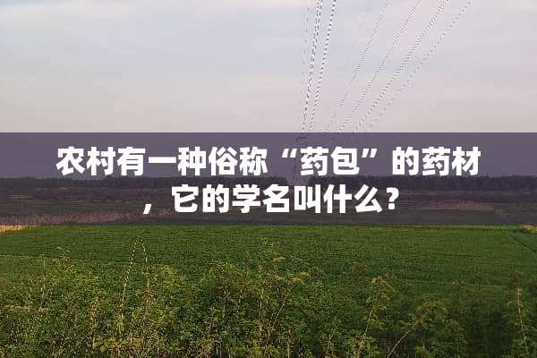 农村有一种俗称“药包”的药材，它的学名叫什么？
