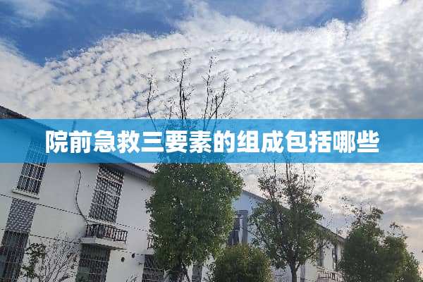 院前急救三要素的组成包括哪些