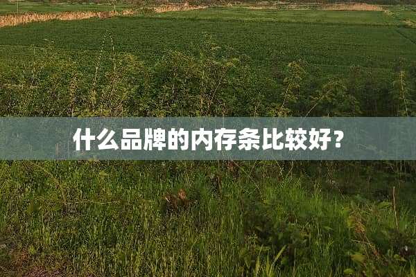 什么品牌的内存条比较好？