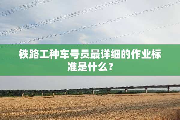 铁路工种车号员最详细的作业标准是什么？