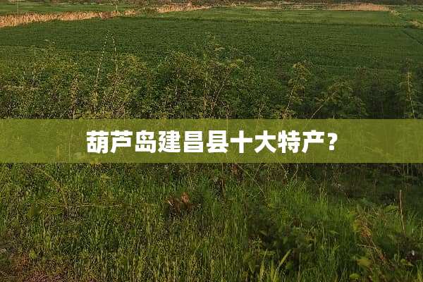 葫芦岛建昌县十大特产？