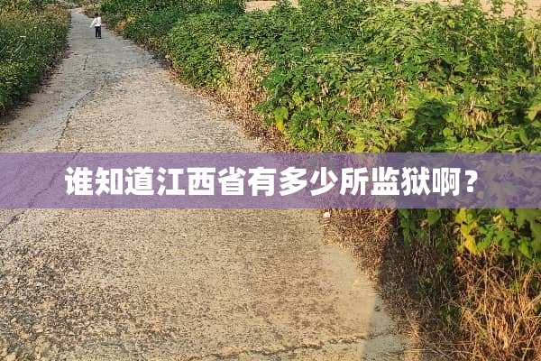 谁知道江西省有多少所监狱啊？