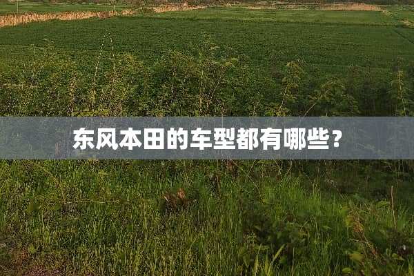 东风本田的车型都有哪些？