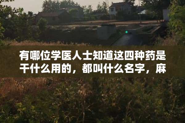 有哪位学医人士知道这四种药是干什么用的，都叫什么名字，麻烦各位了