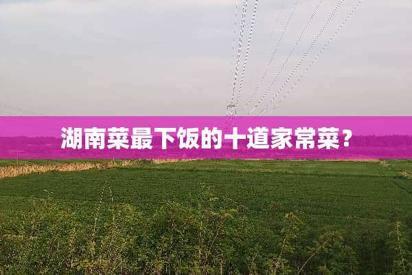 湖南菜最下饭的十道家常菜？