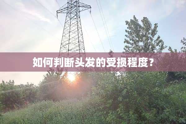 如何判断头发的受损程度？
