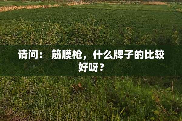 请问： 筋膜*，什么牌子的比较好呀？