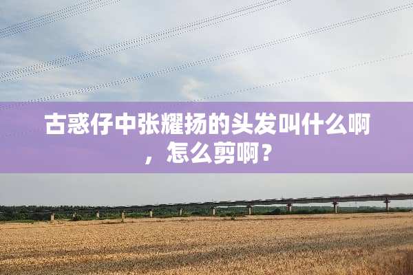 古惑仔中张耀扬的头发叫什么啊，怎么剪啊？
