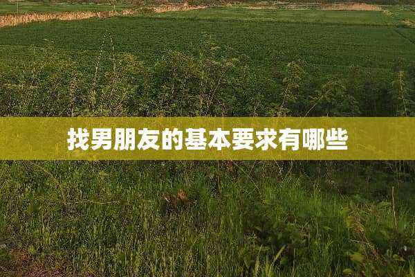 **朋友的基本要求有哪些