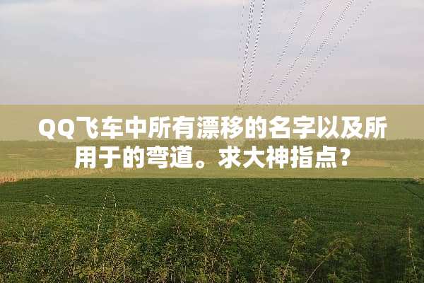 QQ飞车中所有漂移的名字以及所用于的弯道。求大神指点？