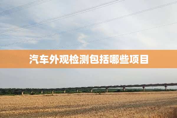 汽车外观检测包括哪些项目