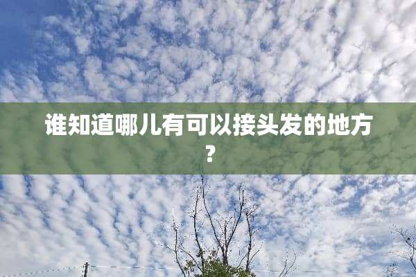 谁知道哪儿有可以接头发的地方？