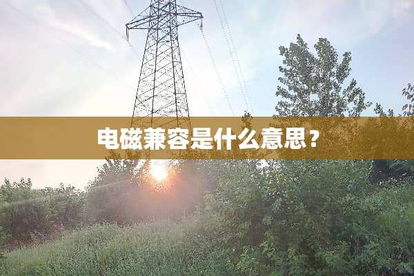 电磁兼容是什么意思？
