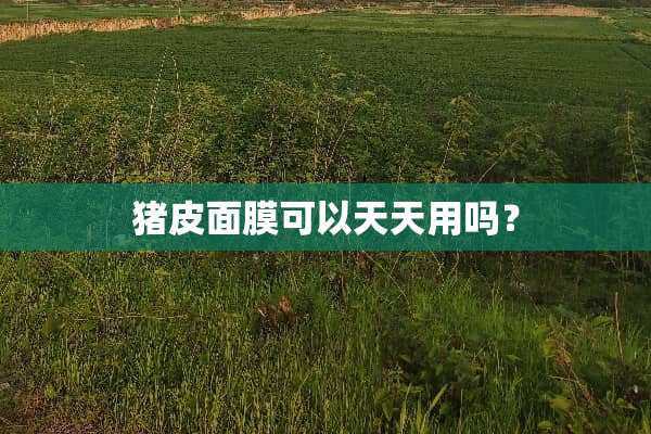 猪皮面膜可以天天用吗？