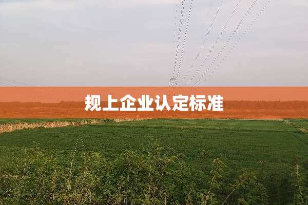 规上企业认定标准