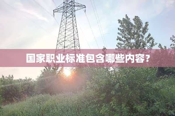 国家职业标准包含哪些内容？
