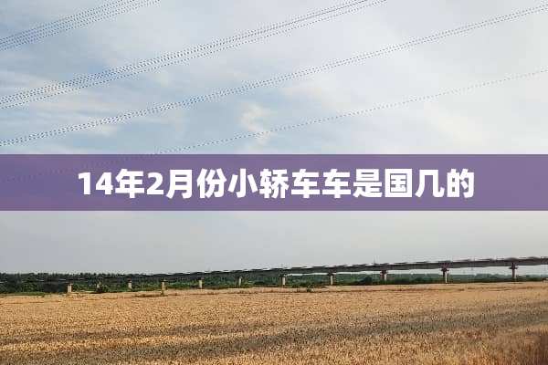 14年2月份小轿车车是国几的