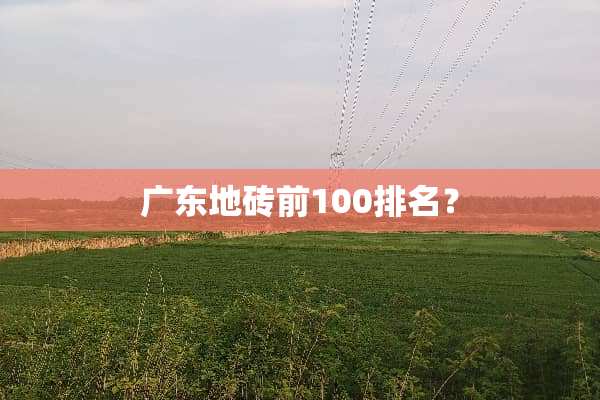 广东地砖前100排名？