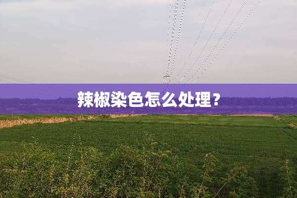 辣椒染色怎么处理？