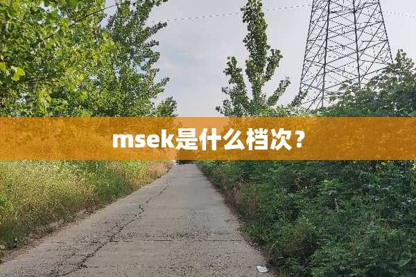 msek是什么档次？